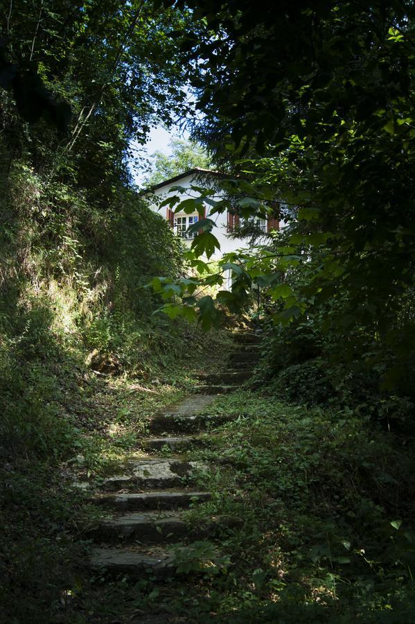 BorgomaroSecret Gardens住宿加早餐旅馆 外观 照片