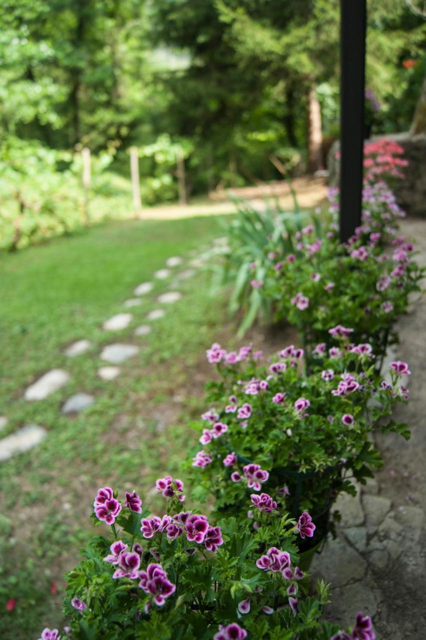 BorgomaroSecret Gardens住宿加早餐旅馆 外观 照片